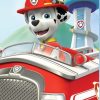 Drap de plage Microfibre Paw Patrol