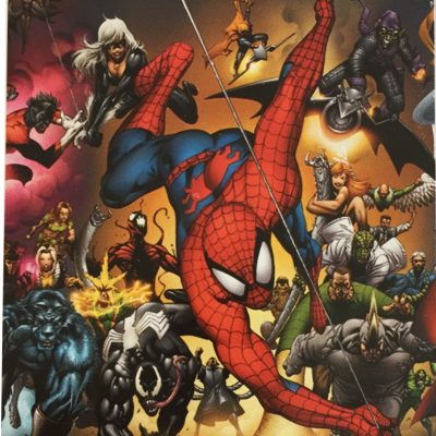 housse de couette Spiderman - 100% coton
