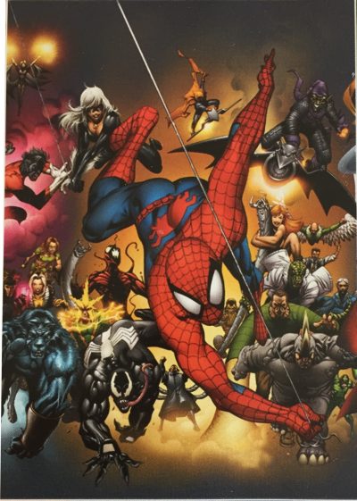 housse de couette Spiderman - 100% coton