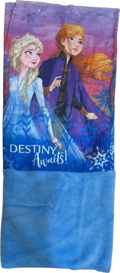 Cache Cou Frozen 2 Disney