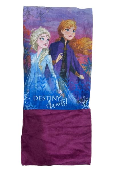 Cache Cou Frozen 2 Disney