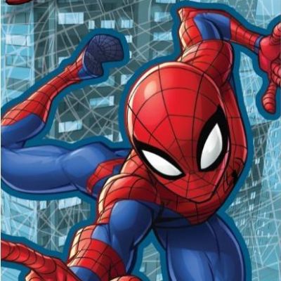 Drap de plage ou Serviette de bain Spiderman en coton
