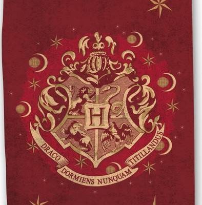 Drap de plage ou drap de bain Harry Potter