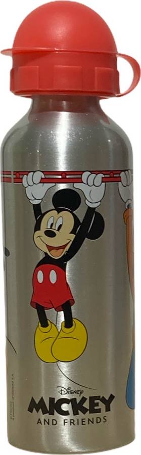 Gourde Mickey Disney en Aluminium