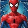 Drap de plage ou Serviette de bain Spiderman Marvel