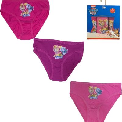 Boite De 3 Culottes Paw Patrol
