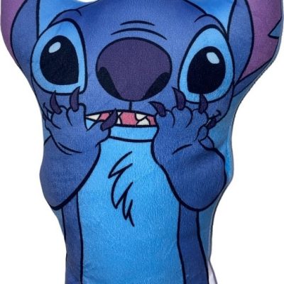Coussin Stitch Forme