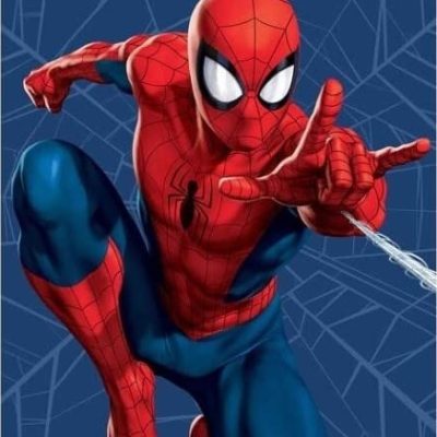 Drap de plage Spider-man Marvel en Coton