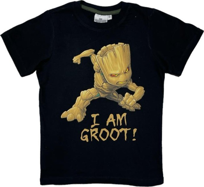 T-shirt Gardien de la galaxie Marvel ados