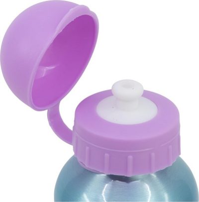 Gourde Aluminium Gabby's Dollhouse 400 ML
