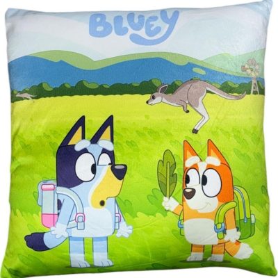 Coussin Bluey 38 cm (Impression recto verso)