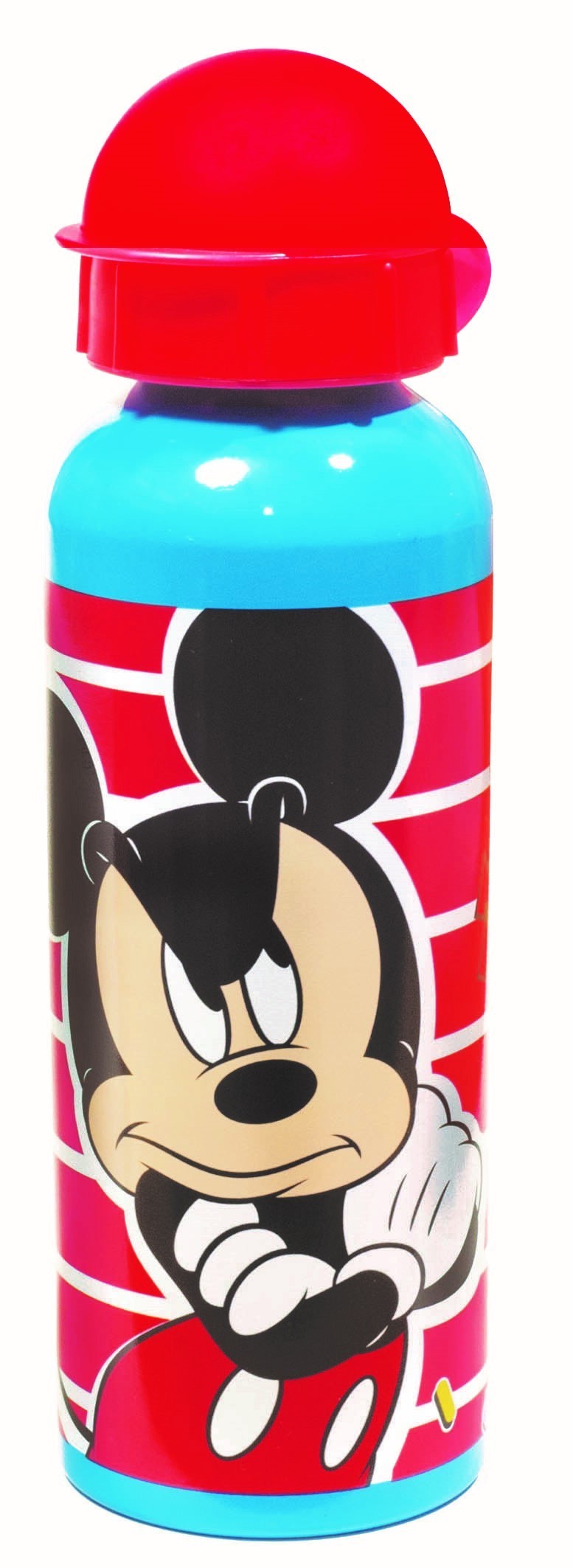 Gourde Aluminium mickey Disney
