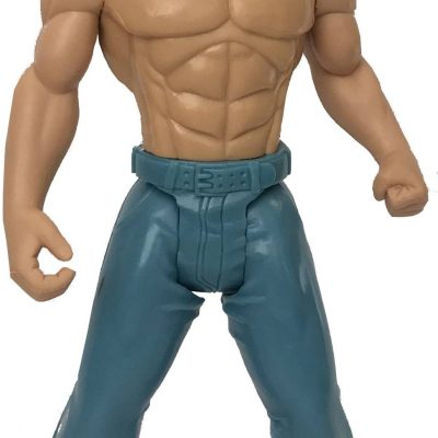 Figurine wwe Matt Hardy H15 cm