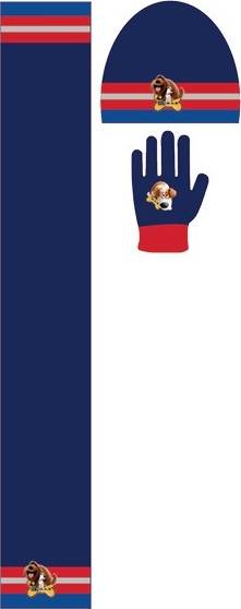 Set 3 pièces Bonnet + écharpe + gants Comme des Bêtes