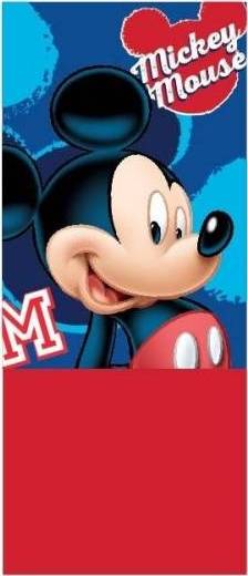 Cache Cou Mickey Disney