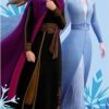 Drap de plage ou drap de bain Frozen 2 Disney