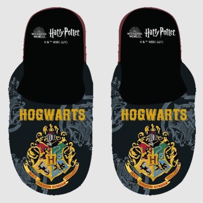 Chausson Harry Potter