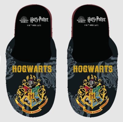 Chausson Harry Potter