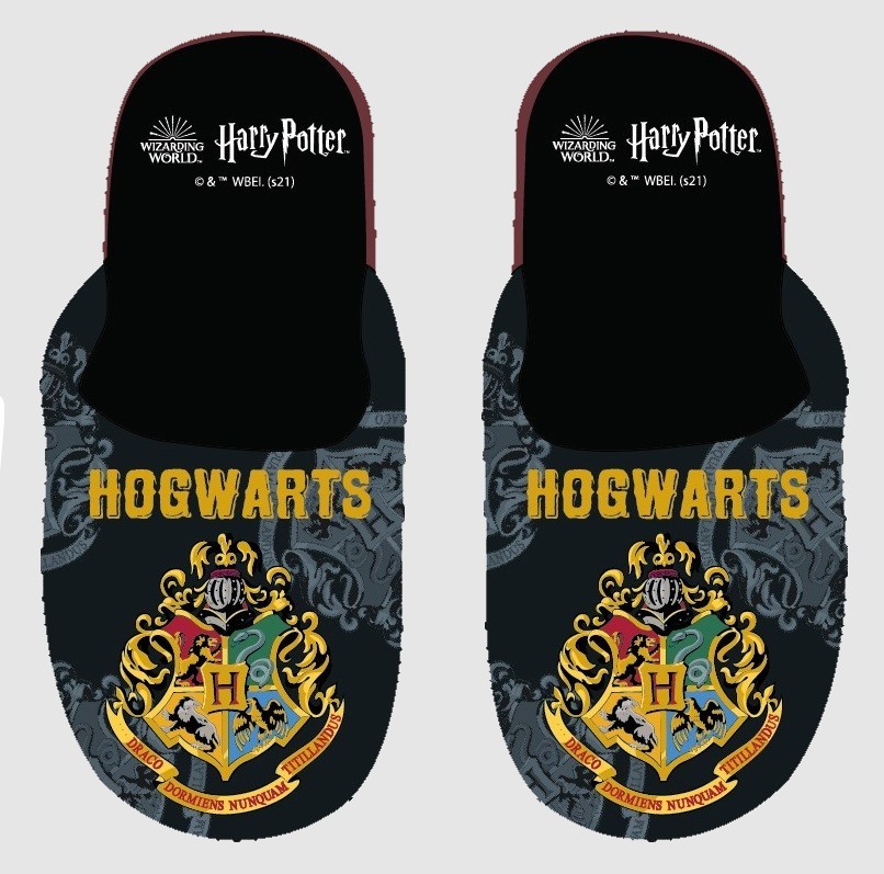 Chausson Harry Potter