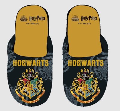 Chausson Harry Potter