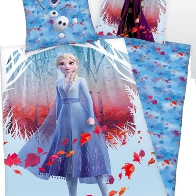Parure Housse De Couette Frozen 2 Disney
