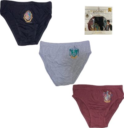 Boite de 3 Slips Harry Potter