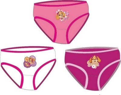 Boite De 3 Culottes Paw Patrol