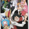 Drap de plage ou Drap de Piscine One Piece