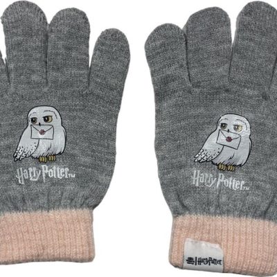 Set Gants Harry Potter
