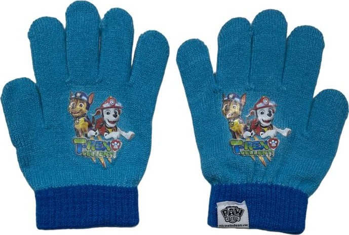 Set gants Pat Patrouille - Paw Patrol