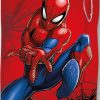 Drap de plage Spiderman