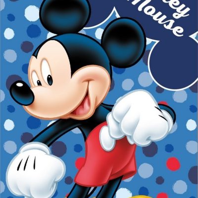 Plaid Mickey Disney