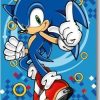 Plaid Polaire Sonic