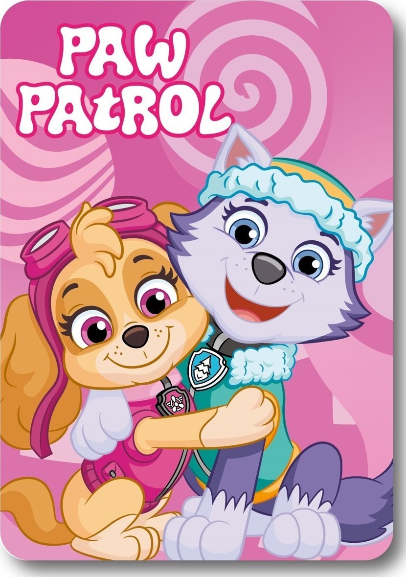 Plaid Polaire Paw Patrol