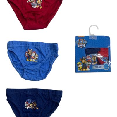 Boite De 3 Slips Paw Patrol