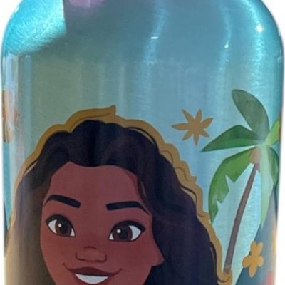 Gourde Aluminium Vaiana Disney 400 ML