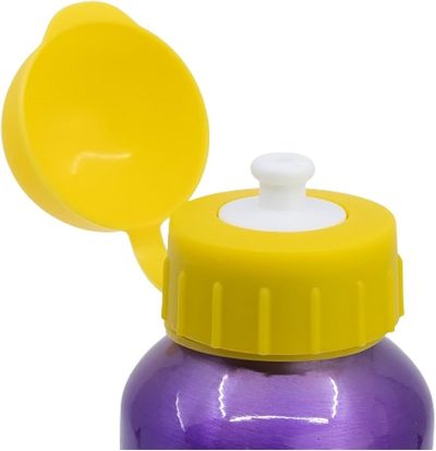 Gourde Aluminium Minnie Disney 400 ML