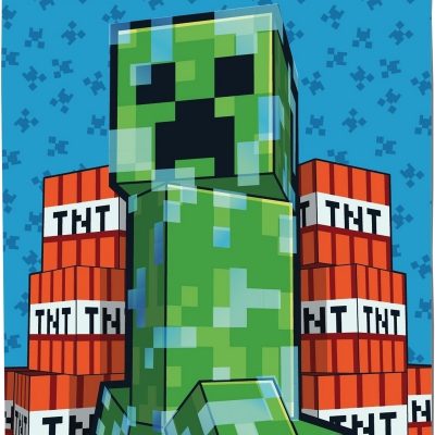 Plaid Polaire Minecraft