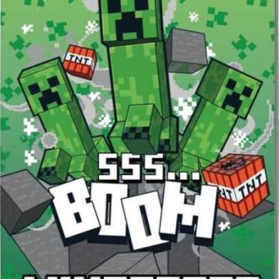 Plaid Polaire Minecraft