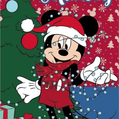 Plaid Mickey Disney