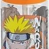 BOUTEILLE ECOZEN HYDRO 430 ML Naruto